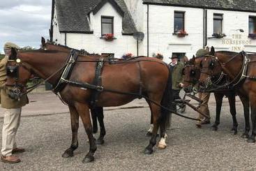 هاستل The Horseshoe Inn