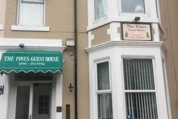 پانسیون The Pines Guest House