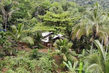 پانسیون Jungle Lodge