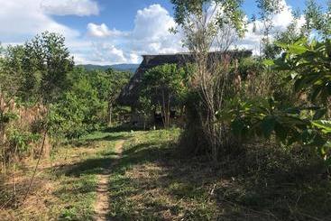 پانسیون Ayahuaska Backpackers House  Casa Completa En Alquiler