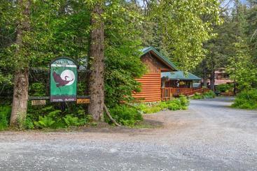 هاستل Steller Inn