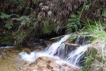 پانسیون Pousada Serra Verde