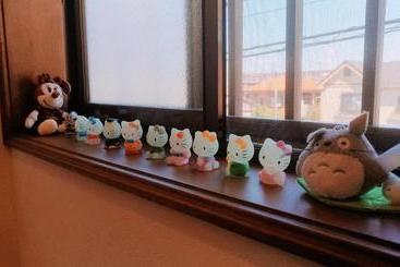 پانسیون Rainbow Guesthouse 貸切