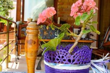 פנסיון Nirvana Guest House