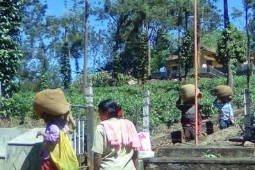 هاستل Periyar Green Bed & Breakfast