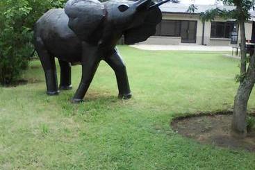 پانسیون Elephant Lodge Guesthouse