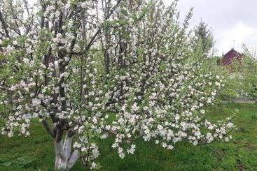 پانسیون Guesthouse Kishimzhan