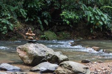 پانسیون Rain Forest Guest House