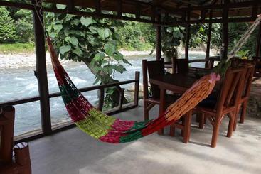 پانسیون Rain Forest Guest House