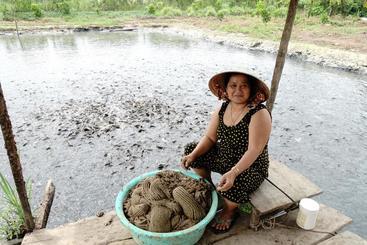 پانسیون Thanh Ha Guesthouse