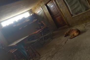 هاستل Hospedaje Dannita B&b