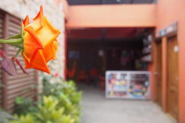 هاستل Hospedaje Dannita B&b