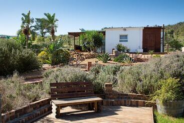 膳宿费 Capelands Wine Farm