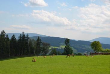 هاستل Wildwiesenhof