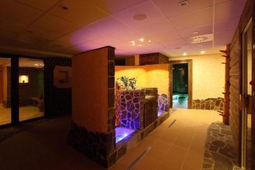 پانسیون Wellness Penzion U Michala