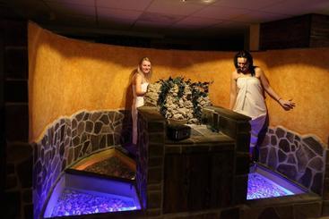 پانسیون Wellness Penzion U Michala