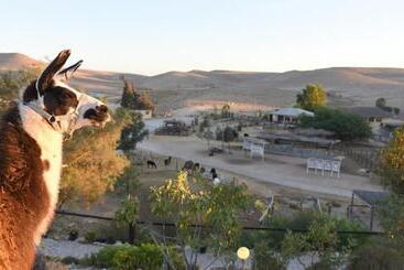 فندق Alpaca Farm   חוות האלפקות