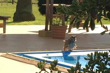 Pueblo Chico Agroturismo