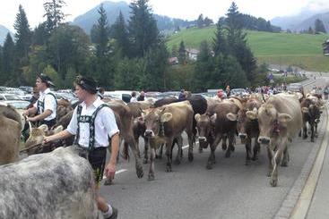 هتل Schusterhof