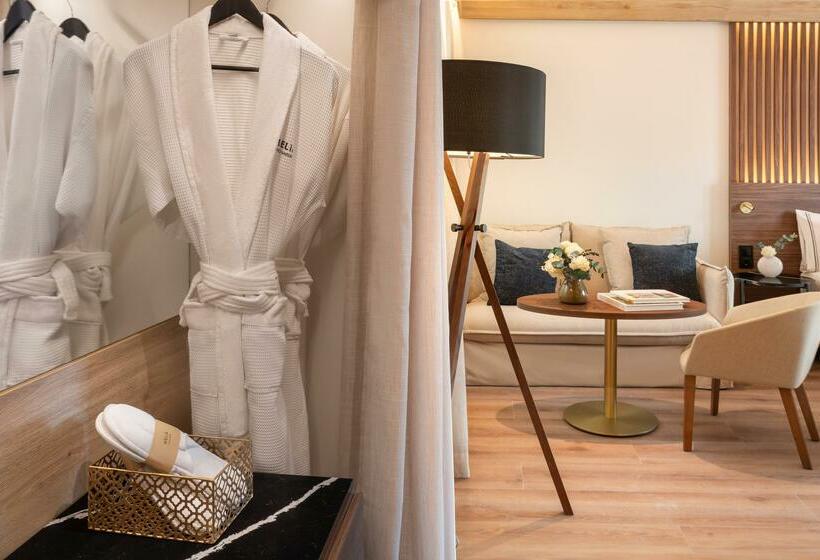 هتل Meliá Granada