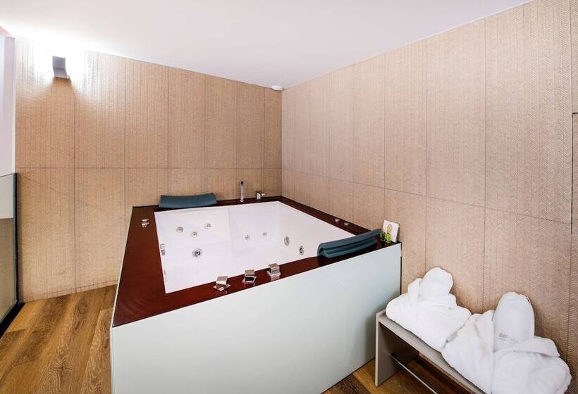 هتل Barcelo Ourense