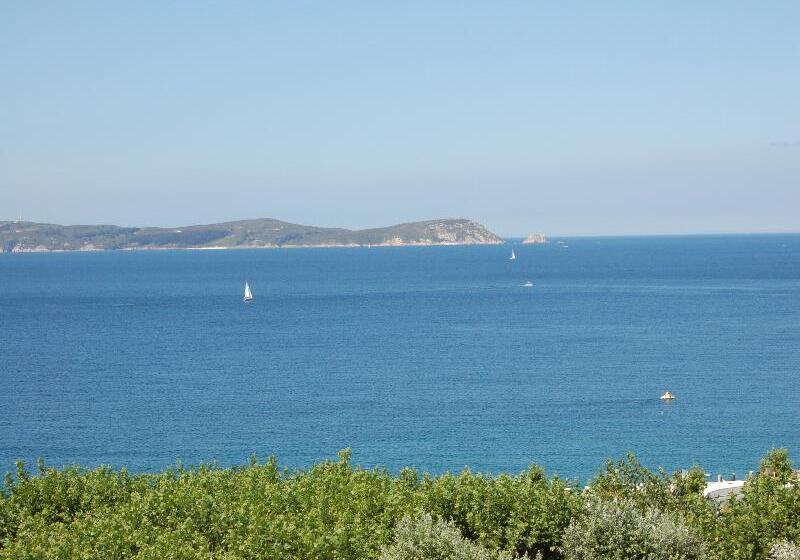 هتل Vida Playa Paxarinas