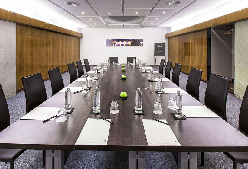 호텔 Melia Lebreros