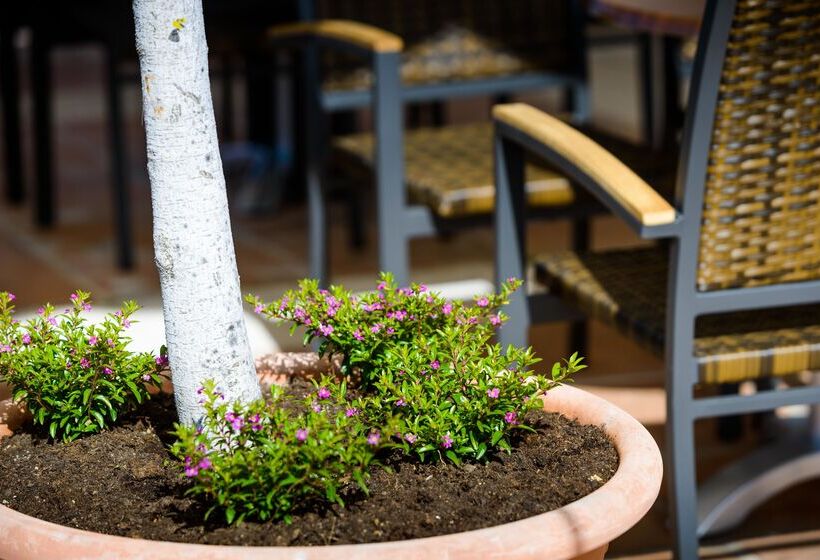 בית מלון כפרי Monarque El Rodeo