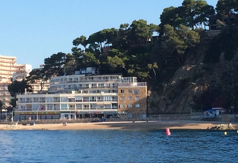 酒店 Rosamar Maxim 4  Adults Only