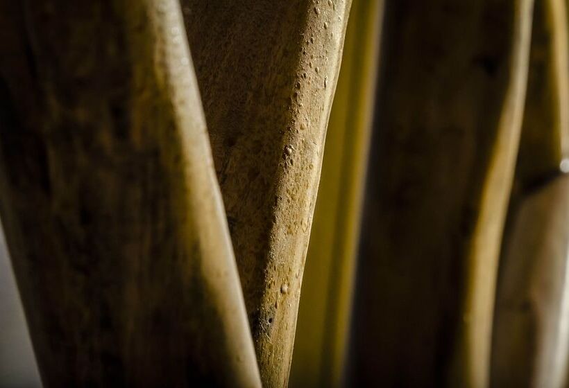 Exe Cunit Suites & Spa