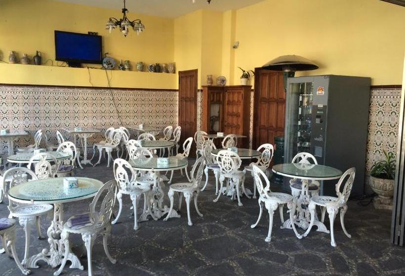 هتل Hostal Mimosa