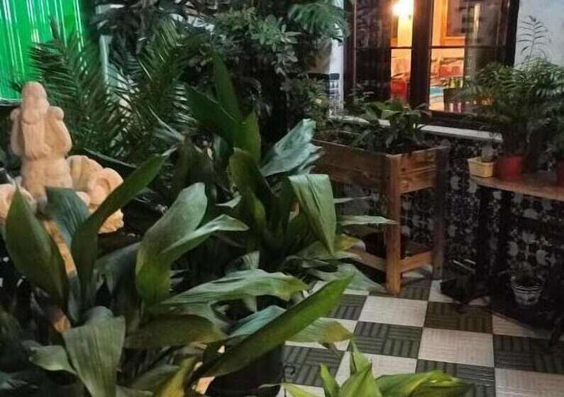 مسافرخانه Hosteria De Rafi