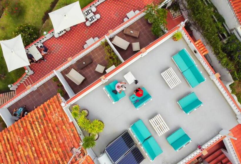 فندق Hostal Avalon