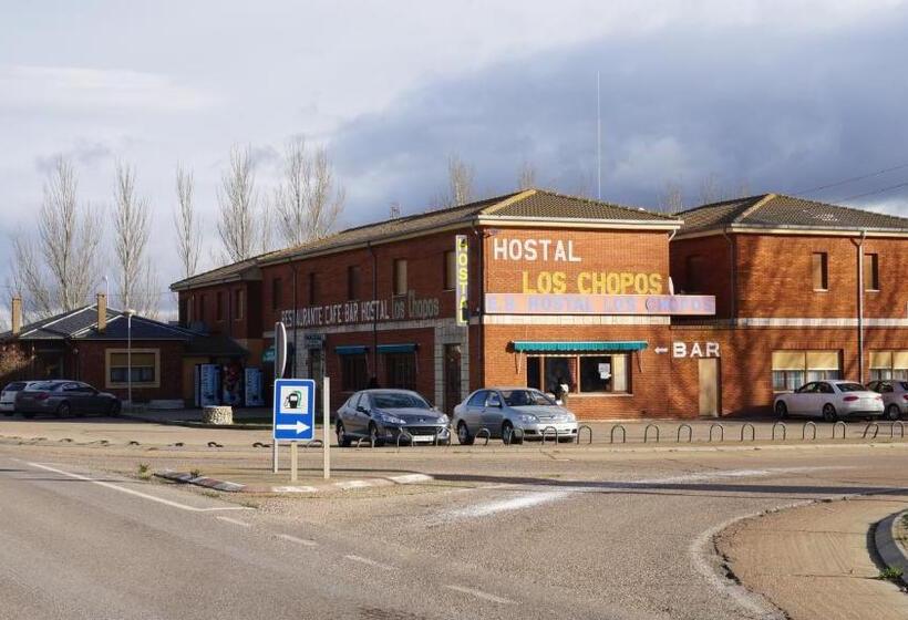 Отель Hostal Los Chopos