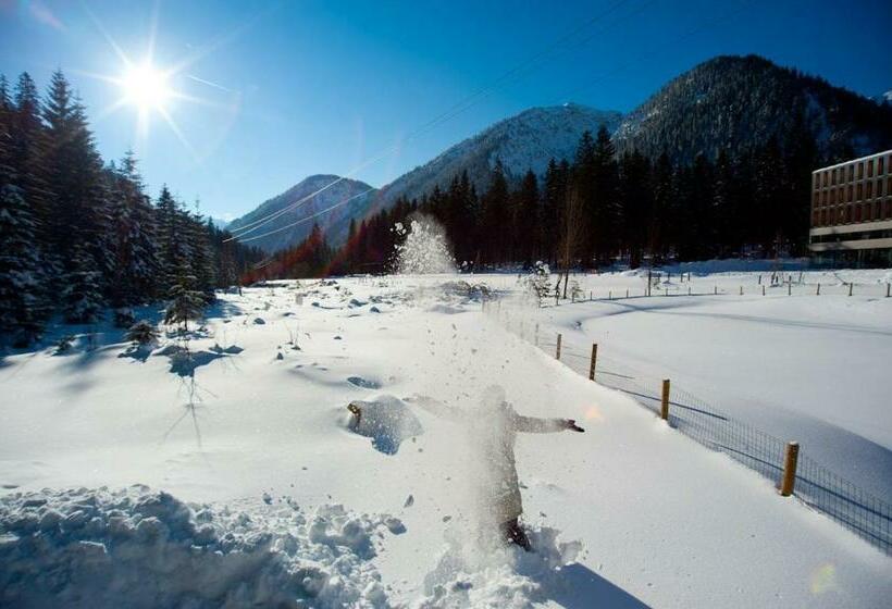 Alpenhotel Ammerwald