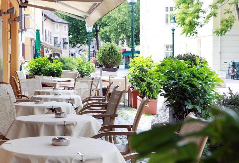 호텔 Babenbergerhof