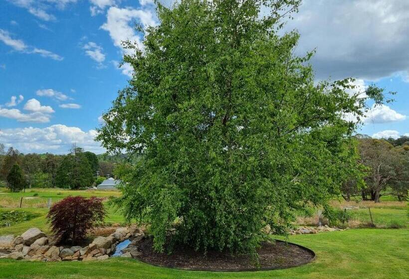 فندق Golden Heritage Accommodation