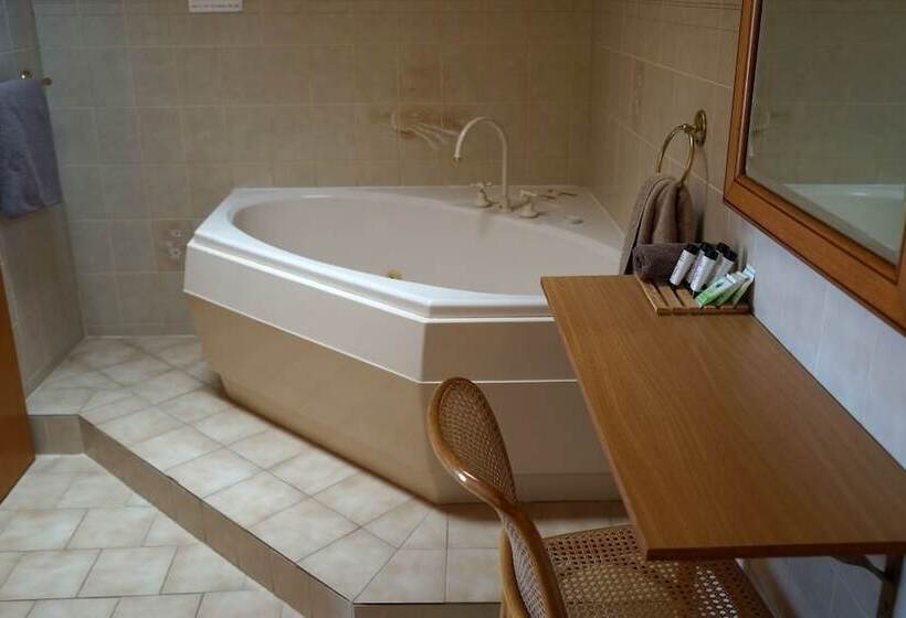 酒店 Nandewar Motor Inn