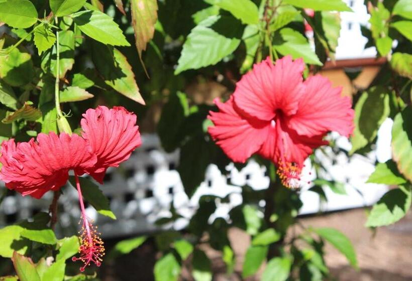 리조트 Amaroo On Mandalay, Magnetic Island