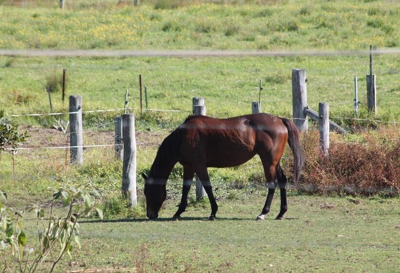 Hotel Sir Francis Drake