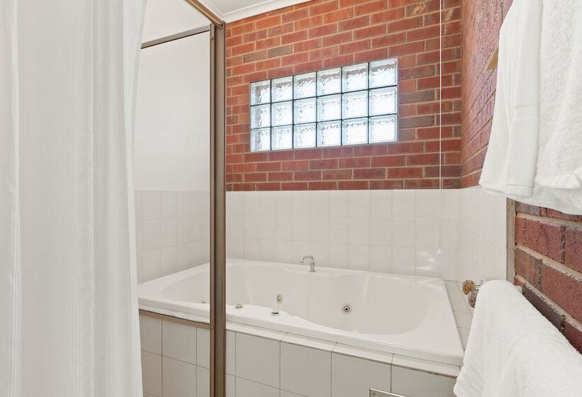 Отель Burke And Wills Motor Inn Swan Hill