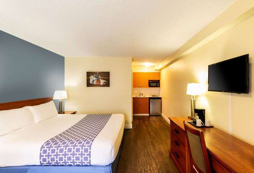 בית מלון כפרי Econo Lodge Inn & Suites University