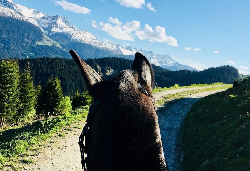 Adults Only Hotel Mulin   Das Erwachsenen Hotel In Den Bergen