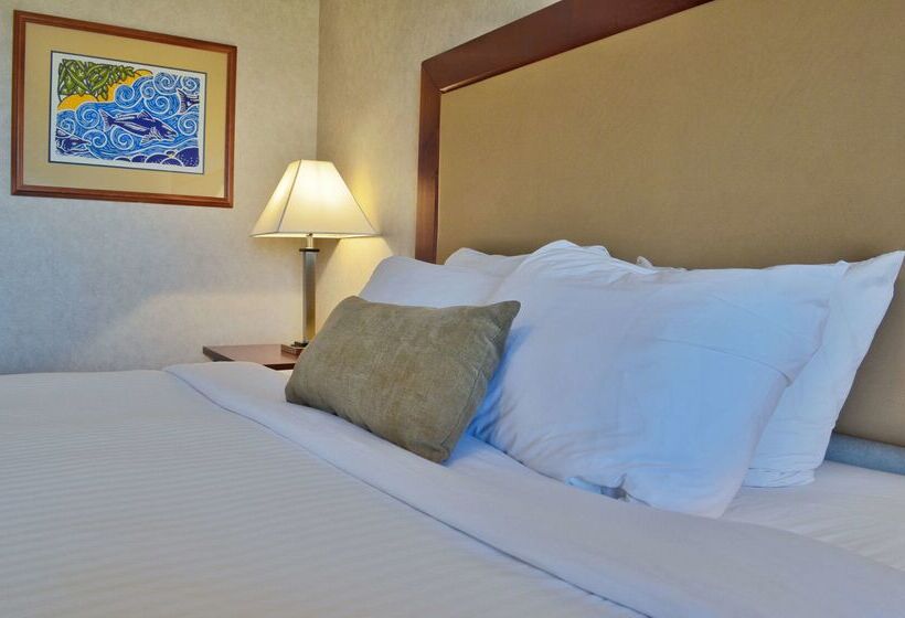 فندق Best Western Gold Rush Inn