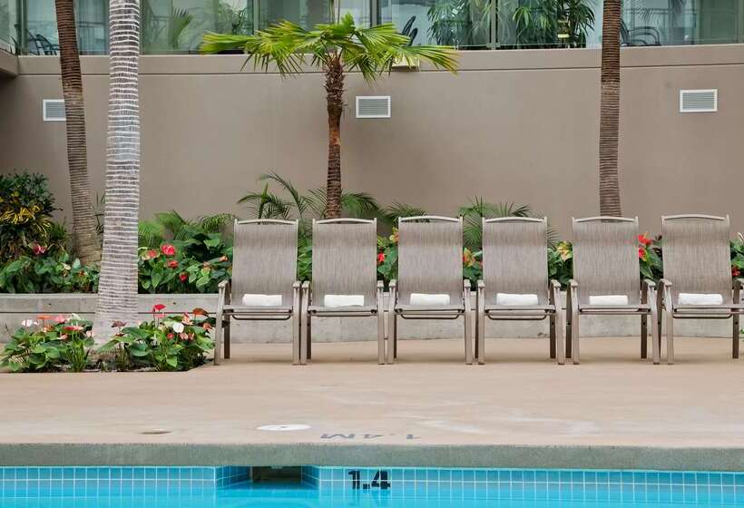 هتل Best Western Plus Lamplighter Inn & Conference Centre