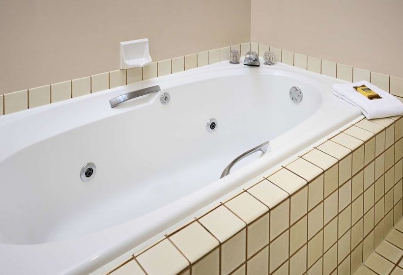 هتل Best Western Plus Lamplighter Inn & Conference Centre
