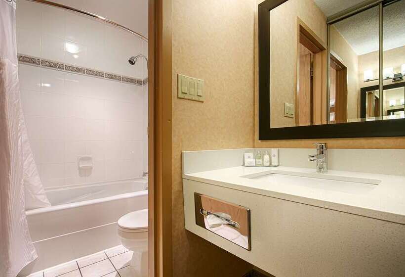 酒店 Best Western Plus Langley Inn