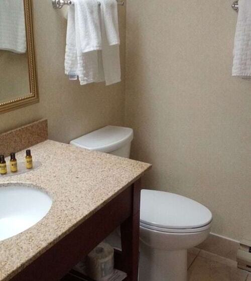 Отель Best Western Plus Otonabee Inn
