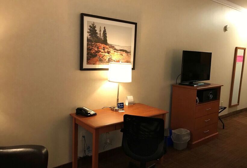 هتل Best Western Thunder Bay Crossroads