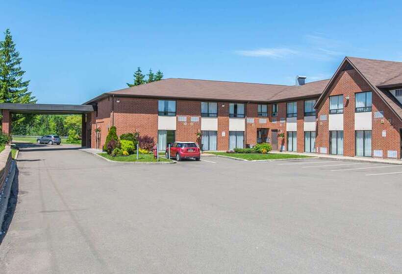 هتل Comfort Inn Magnetic Hill